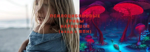 PSILOCYBIN Алексеевка