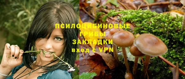 PSILOCYBIN Алексеевка