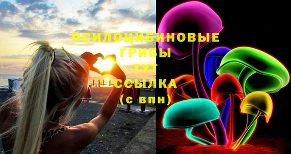 PSILOCYBIN Алексеевка