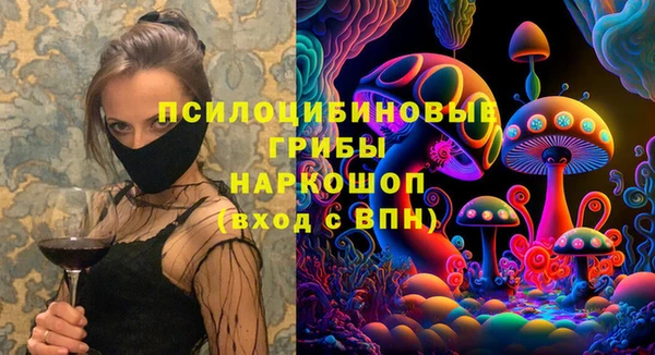 PSILOCYBIN Алексеевка