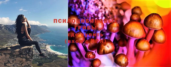 PSILOCYBIN Алексеевка