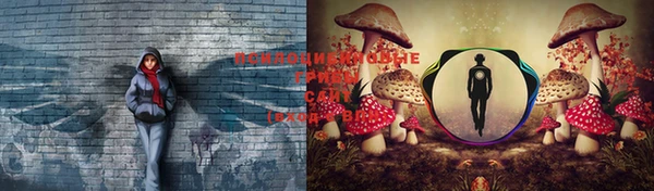 МДПВ Алзамай