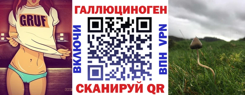 Псилоцибиновые грибы Cubensis Мамоново